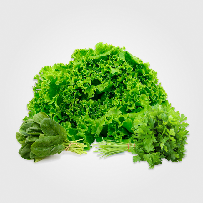 Salate si plante aromatice