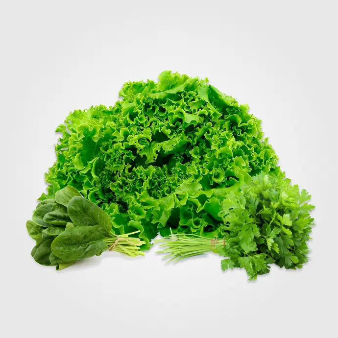 Salate si plante aromatice