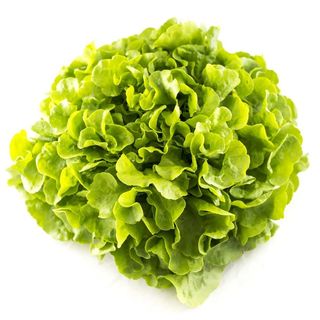 Zelena salata puterica - cca 200 g / 1 kom