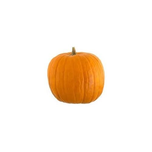 Dovleci🎃