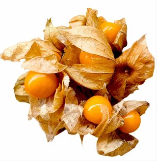 Physalis (Golden Berry) ECO 100g