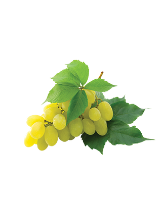 Bijelo Grožðe Svježe