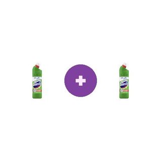 Dezinfectant Inalbitor Domestos Pine Fresh 750ML, 2 la pret de 1
