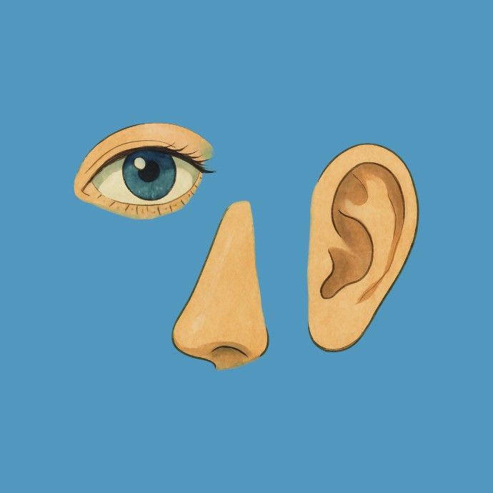 Îngrijire ochi, nas și urechi.