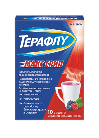 ТЕРАФЛУ МАКС ГРИП САШЕТА Х 10