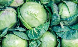 Mlada glavica kupusa / komad