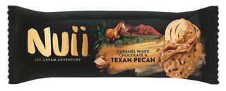 Inghetata de vanilie cu sos de caramel bucati de nuci pecan texane Nuii 90ML