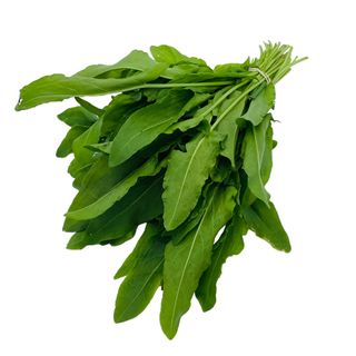 Macris ECO, legatura