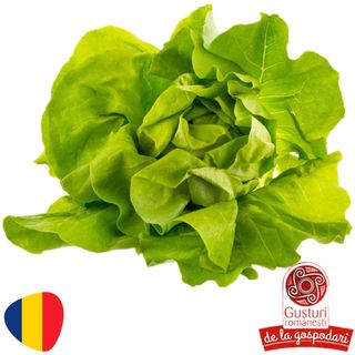 Gusturi romanesti, Salata verde (ID 73897)