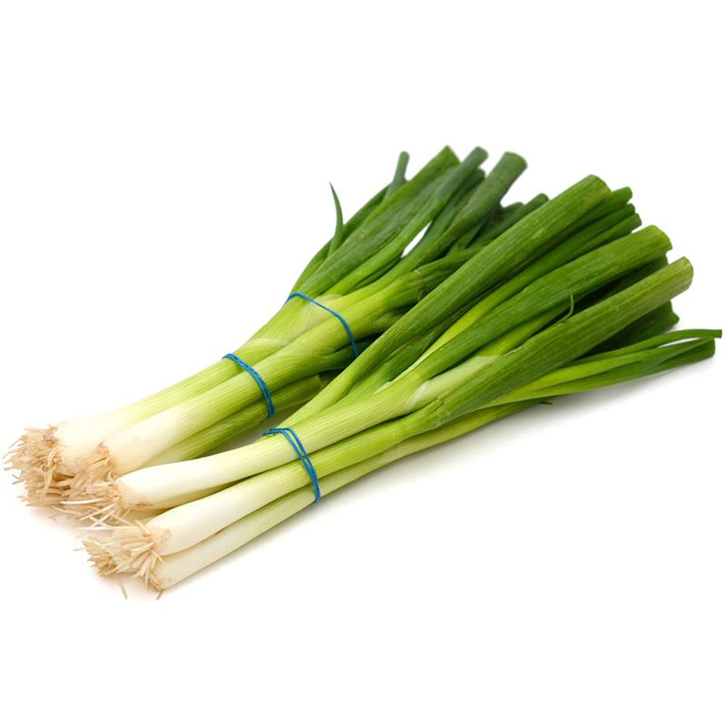 Пресни Подправки