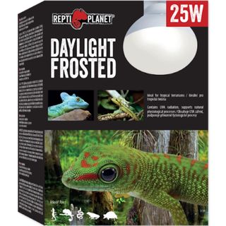 Bec pentru terariu ReptiPlanet Daylight Frosted 25W