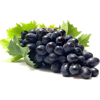 Struguri negri Moldova