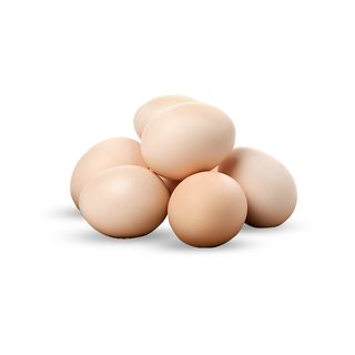 JAJA M KLASA 10/1 TENEN FARM 011340