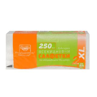 SANTIA Салфетки 33/33 2 пласта 250 БР / 38957019