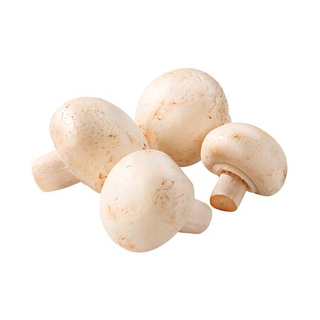 Ciuperci Champignon 500G