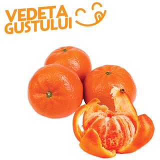 Mandarine Murcott +/-1.000 Kg (ID 46337)