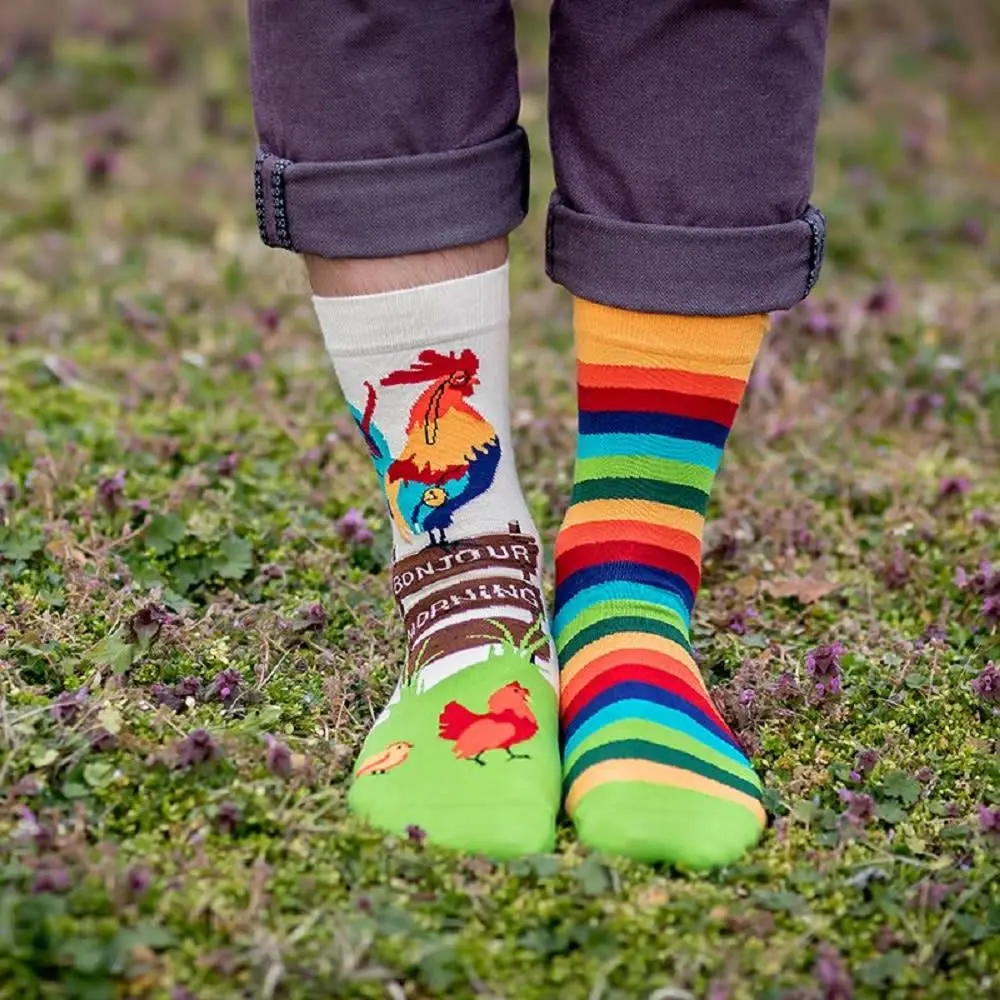 ARTY SOCKS (M)