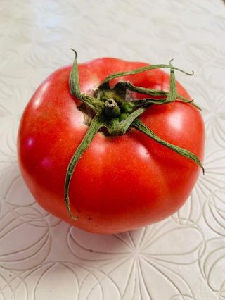 Paradajz Roze