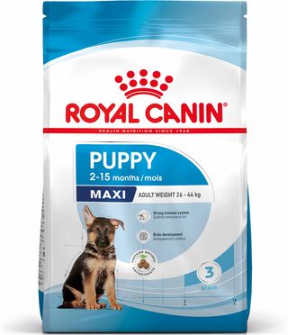 ROYAL CANIN SHN Maxi PUPPY (vârsta până la 15 luni) 3 kg