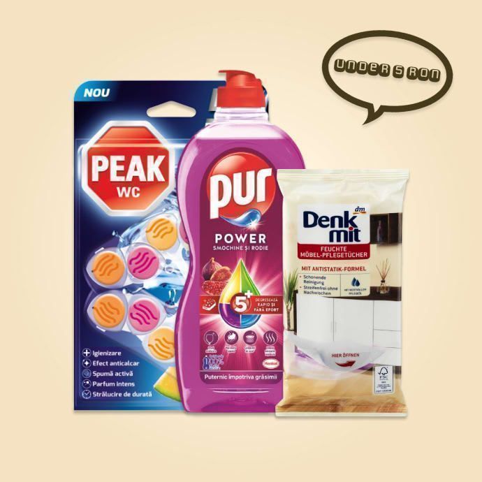 Curățenie și întreținere casă