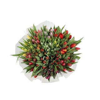 Lalele buchet 7 fire