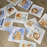 Cartele cu lunile anului pentru nou-născuți (12buc)