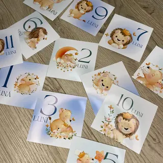 Cartele cu lunile anului pentru nou-născuți (12buc)