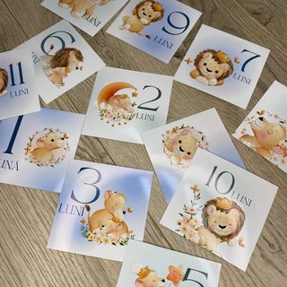 Cartele cu lunile anului pentru nou-născuți (12buc)