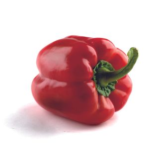 Paprika Babura Crvena