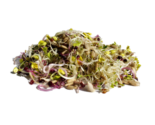 Поли Вита микс от кълнове за салати 100 ГР / 38927484