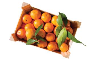 Clementine ladita 2,3 kg