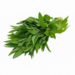 Salvie ECO, legatura