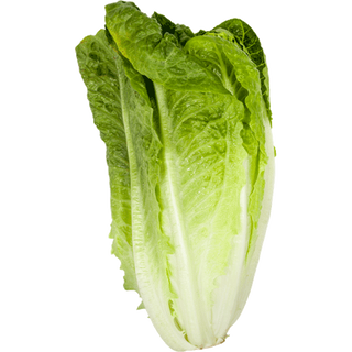 САЛАТА РОМАНА BON VIA 1 БР / 38934059