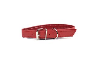 Zgarda pentru caini Enjoy Fashion Nr. 4 24mmX34-43 cm