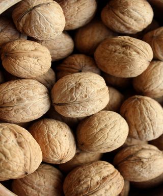 Nuci in coaja, amb. Plasa 900 g