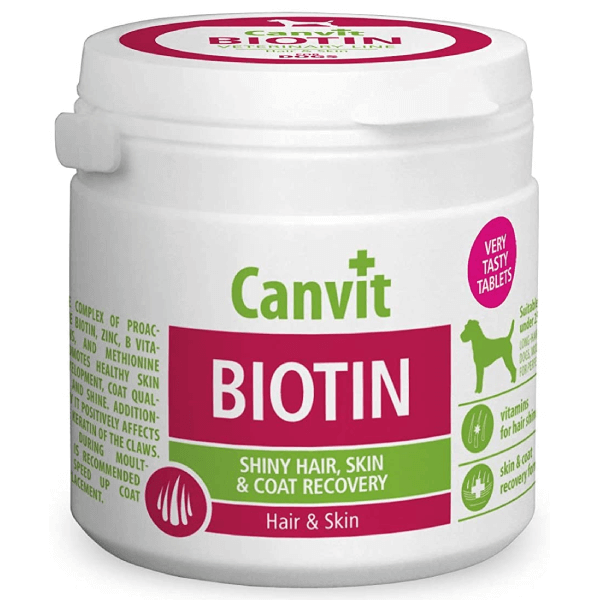 Vitamine și suplimente alimentare câini