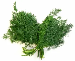 Mirodjija, veza