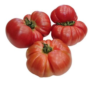Градински селски домат 1кг