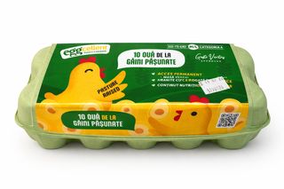 Oua de la gaini pasunate, cutie 10 buc