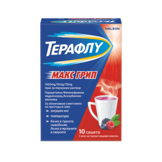 ТЕРАФЛУ МАКС ГРИП САШЕТА Х 10