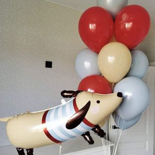Buchet din baloane " Hot - Dog "