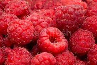 Zmeura caserola 125 g