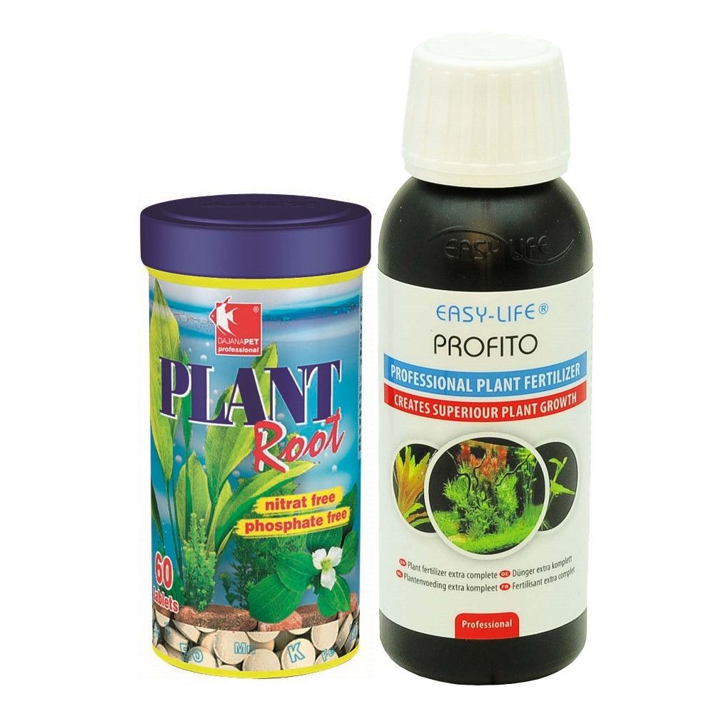 Cultivarea şi întreţinerea plantelor