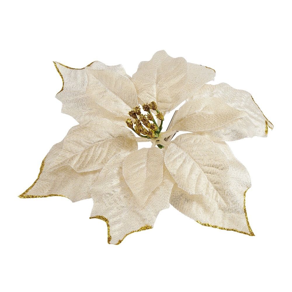 Decoratiuni brad🎄