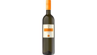 Sauvignon blanc Radovanović