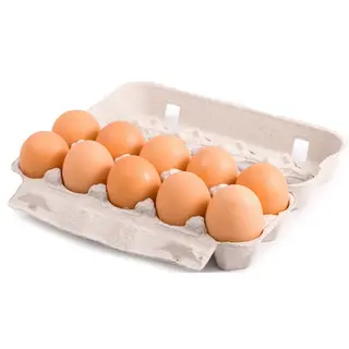GUSTOVO Ouă de găină pentru pici brune S 10buc