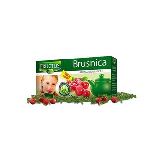 CAJ FRUCTUS BRUSNICA 40G FRUCTUS 043293