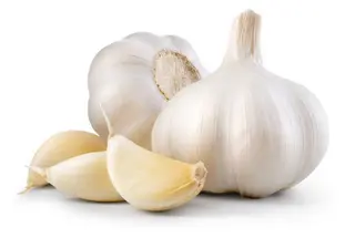 Usturoi bulb