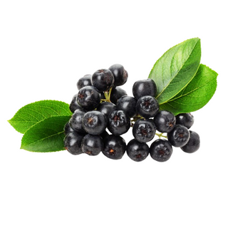 Aronia de pădure 1kg