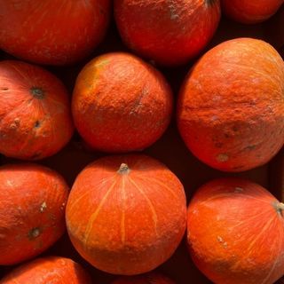 Dovleac Hokkaido ECO 500g